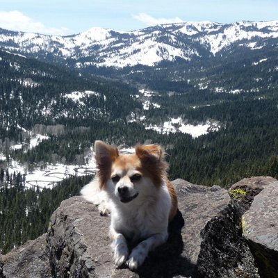 Profile Picture of Betty Serrano-cantor (@Kikibeth13) on Twitter