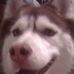 Profile Picture of Dennis Peoples (@dennis.peoples.5) on Facebook