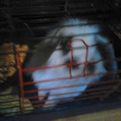 Profile Picture of Julia Kulesza (@juliakulesza2478) on Youtube