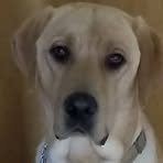 Profile Picture of Doris Hooks (@doris.hooks) on Facebook