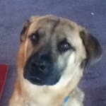 Profile Picture of Angela Holbrook (@crystal_live_love) on Instagram