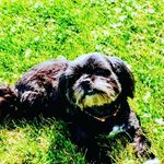 Profile Picture of Rita Vankoughnett (@vankoughnettrita) on Instagram