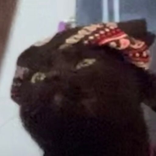 Profile Picture of Matthew Russell (@@matthewruss) on Tiktok