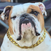 Profile Picture of Daniel Pisano (@danielpisano8094) on Youtube