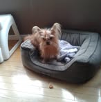 Profile Picture of Fernande Cloutier (@fernande.cloutier.5) on Facebook