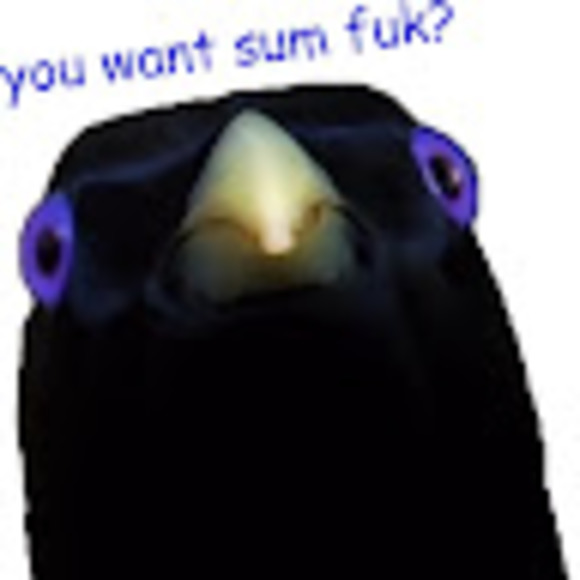 Profile Picture of Lucas Gardner (@lucasgardner68) on Poshmark