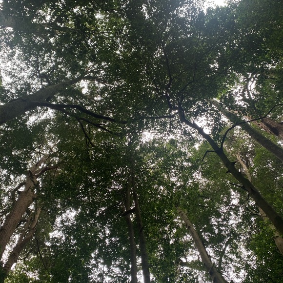 Profile Picture of Viola Soliman (@violas7) on Poshmark