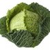 Profile Picture of Trying Terrorise Memeulous With Picturesof Cabbage (@Steve78351559) on Twitter