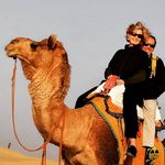 Profile Picture of Nicki Pace (@nickiutah) on Instagram