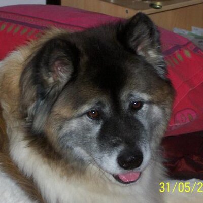 Profile Picture of Mark Berney (@MarkBerney1) on Twitter