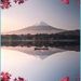 Profile Picture of Harriet Bryant (@harrietbryant34) on Pinterest