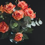 Profile Photo of Andy's Flowers (@andys.flowers) on Instagram