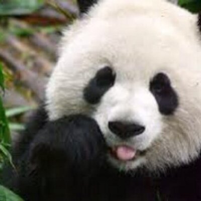 Profile Picture of Nate Tripp (@NateTripp) on Twitter