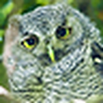 Profile Picture of Grant Hickey (@gashphoto) on Flickr