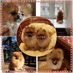 Profile Picture of James Moore (@barbaraaliguori) on Instagram