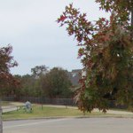 Profile Picture of Michael Gulley (@thegulley) on Instagram