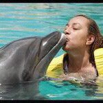 Profile Picture of Kim Crowe (@kimmiedanc) on Instagram