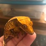 Profile Picture of Pamela Ritter (@pamela.ritter.19) on Instagram