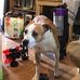 Profile Picture of Ivan Jackson (@ivan.jackson.1004837) on Facebook
