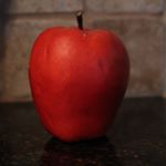 Profile Picture of Joey Barboton (@joeybarboton) on Instagram