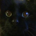 Profile Picture of Unbekannt (@lastkraftwagenfahrer_bertholt) on Instagram