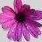 Profile Picture of Jean Rutherford (@jean.rutherford.731) on Facebook