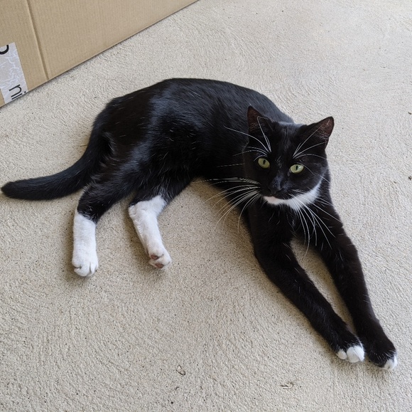 Profile Picture of Nan Jordan (@jordannhy) on Poshmark