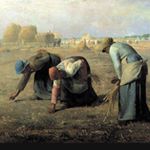 Profile Picture of 홍이삭줍기🌾 (@pick.pngisac) on Instagram