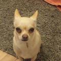 Profile Picture of Celia Duncan943 (@@celiaduncan3) on Tiktok