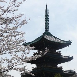 Profile Picture of Christopher Rawley (@arashikoneko) on Myspace