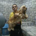 Profile Picture of josesantos (@jose_santos_3857) on Instagram