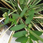 Profile Picture of Kiley Waters (@waters_photography_) on Instagram