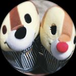 Profile Picture of とーはんchan (@to_han_chan) on Instagram