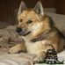 Profile Picture of Marshal Miles (@marshal.miles.102) on Facebook