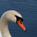 Profile Picture of William Swann (@william.swann.923) on Facebook