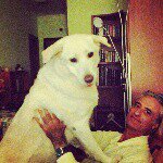 Michelangelo mike - Instagram Profile Picture of Michelangelo mike (@michelangelo.porzio) on Instagram