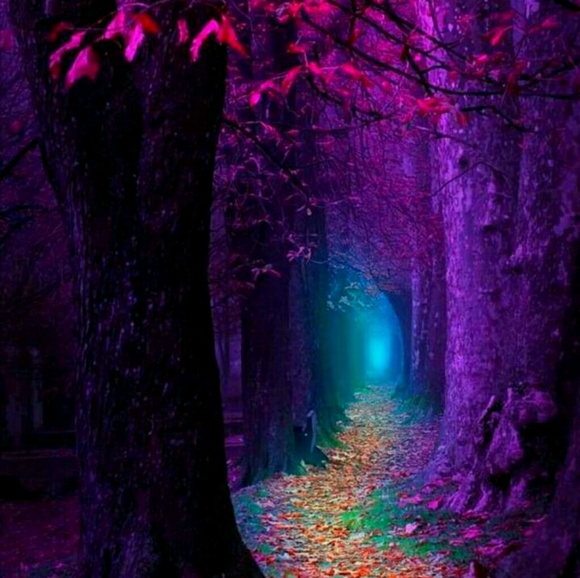 Profile Picture of Janet Davis (@jkdrumm) on Poshmark