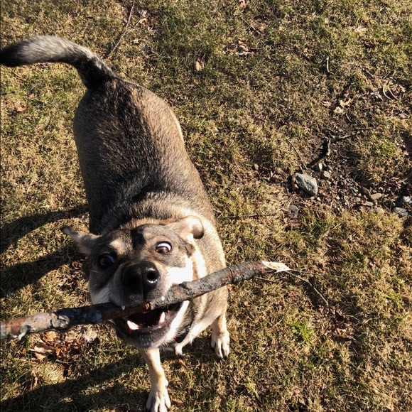 Profile Picture of Leia Foyer (@leiafoyer3) on Poshmark