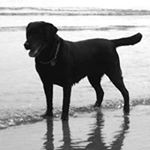 Profile Picture of Ben Hammersley (@ben.hammersley) on Instagram