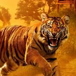 Profile Picture of Steve Phipps (@steve.phipps.5076) on Instagram