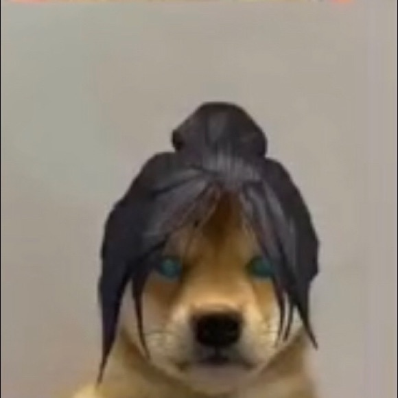 Profile Picture of Moses Jensen (@mosesjensen) on Poshmark