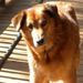 Profile Picture of Nancy Wickham (@19nancy50) on Pinterest