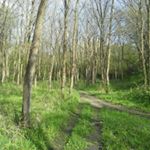 Profile Picture of Greg and Preston lewis (@pgl_adventures) on Instagram