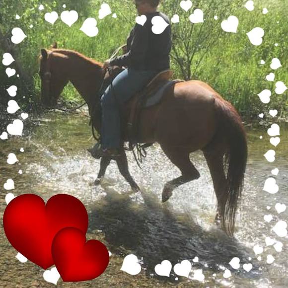 Profile Picture of Tracy Juenemann (@ichasebarrels) on Poshmark