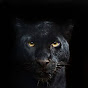 Profile Picture of Randy Chua (@randychua325) on Tiktok