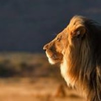 Profile Picture of Serik Shaikamalov (@serik-shaikamalov) on Quora