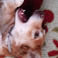 Profile Picture of Elijah Erwin (@elijah-erwin-3) on Quora