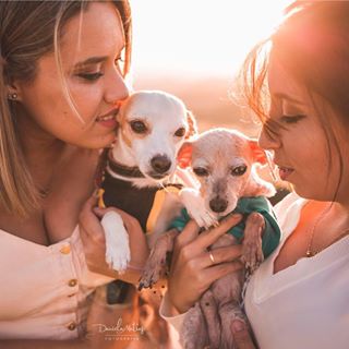 Profile Picture of Amanda Verdile (@amanda.verdile) on Facebook