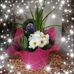 Profile Picture of Cheryl L. Neufeld (@Cheryl-L-Neufeld) on Facebook