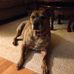 Profile Picture of Brian Pugh (@brian.pugh.5682) on Facebook
